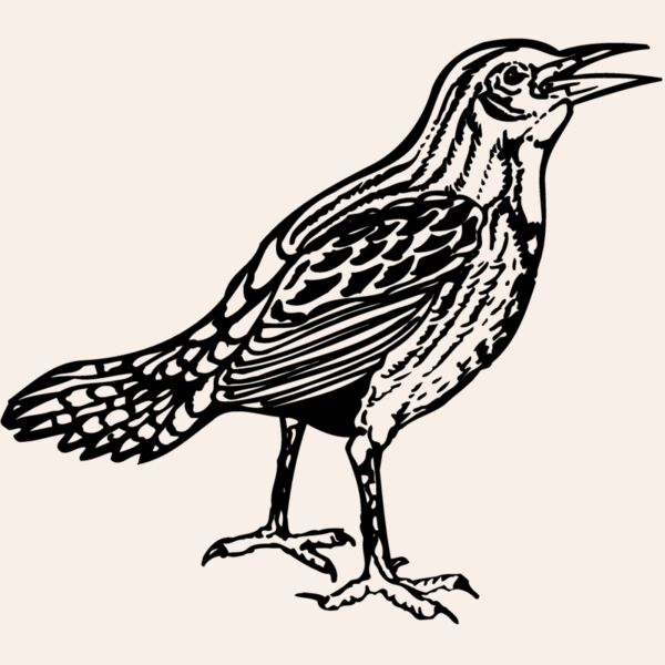 BIRD023 Thumbnail