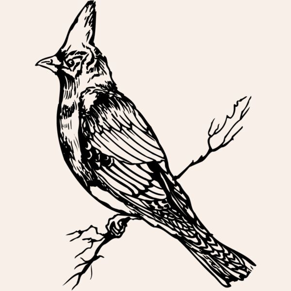 BIRD025 Thumbnail