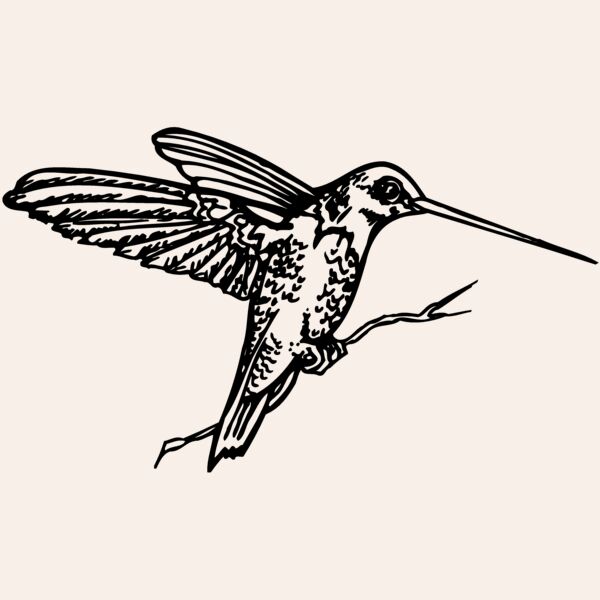 BIRD033 Thumbnail