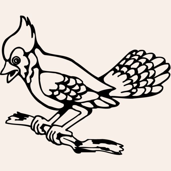 BIRD035 Thumbnail