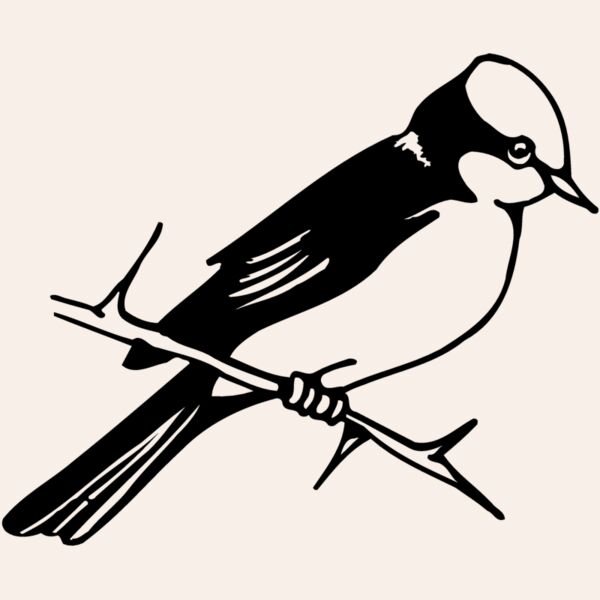 BIRD040 Thumbnail