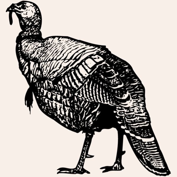 BIRD059 Thumbnail