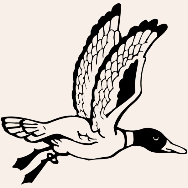 BIRD069 Thumbnail