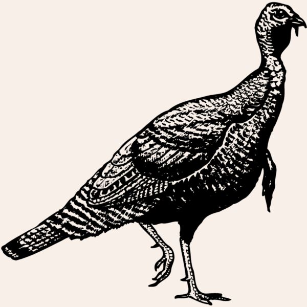 BIRD072 Thumbnail