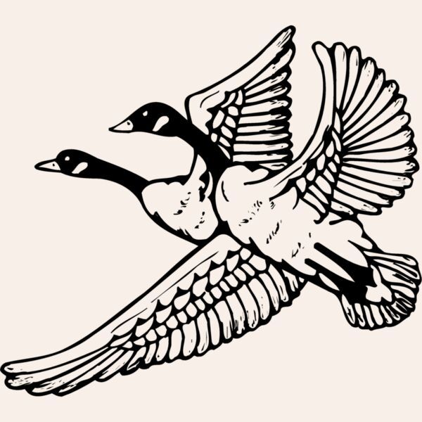 BIRD077 Thumbnail