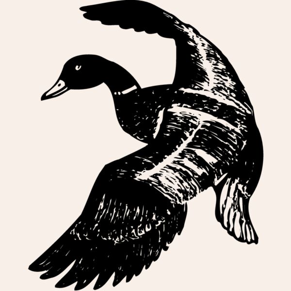 BIRD081 Thumbnail