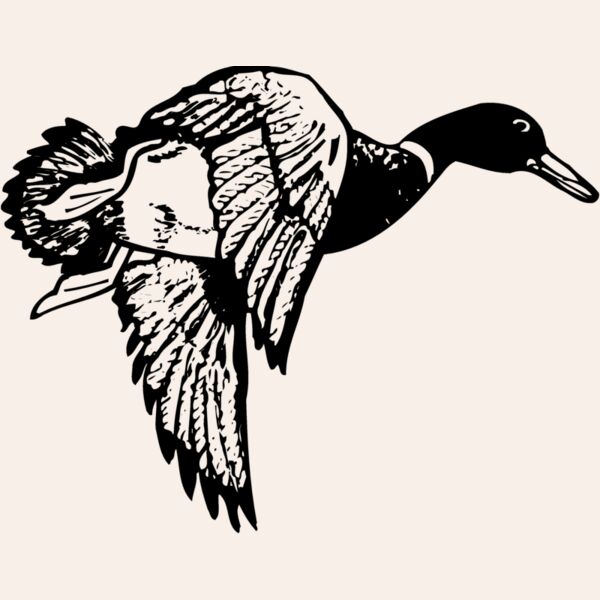 BIRD083 Thumbnail