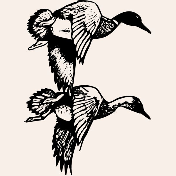 BIRD084 Thumbnail