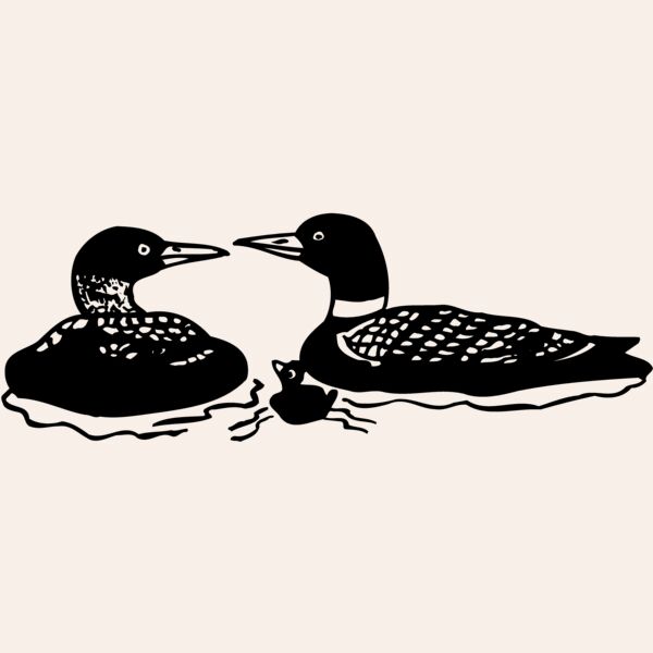 BIRD085 Thumbnail