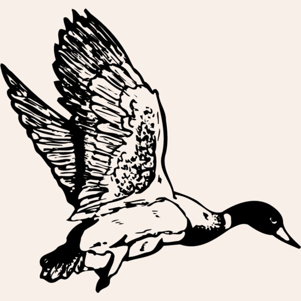 BIRD087 Thumbnail