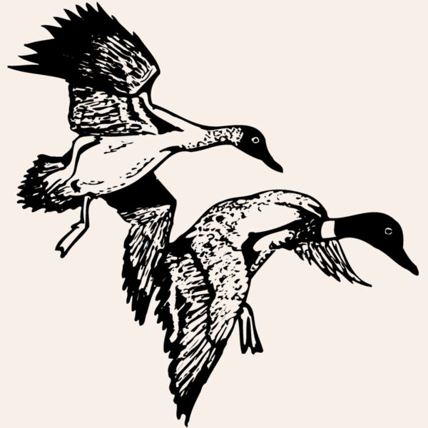 BIRD088 Thumbnail