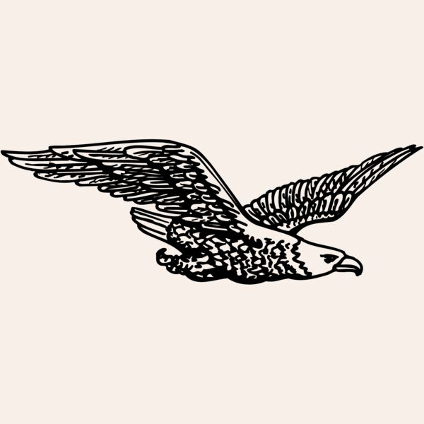 EAGLE006 Thumbnail