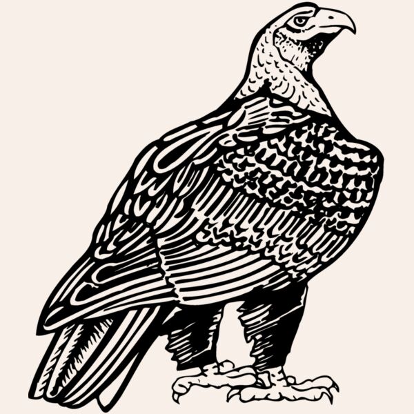 EAGLE018 Thumbnail