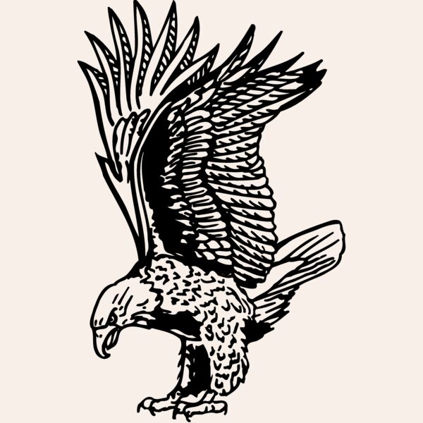 EAGLE020 Thumbnail