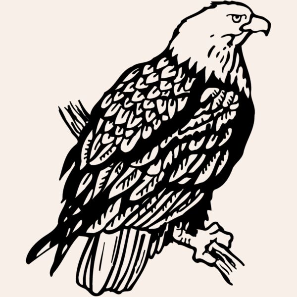 EAGLE024 Thumbnail