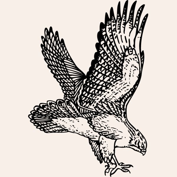 EAGLE026 Thumbnail