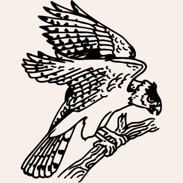EAGLE027 Thumbnail