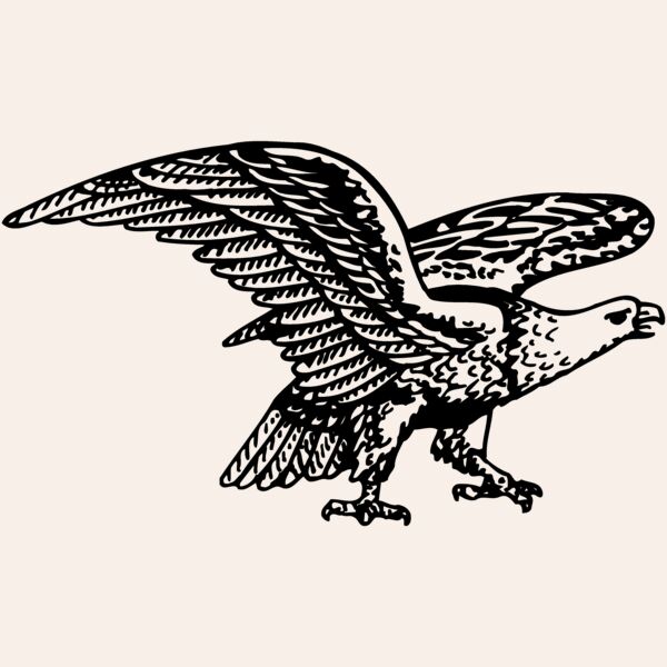 EAGLE028 Thumbnail