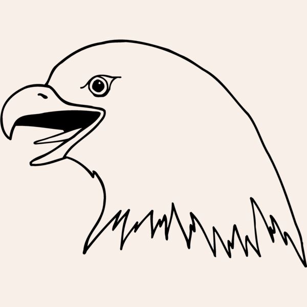 EAGLE41 Thumbnail