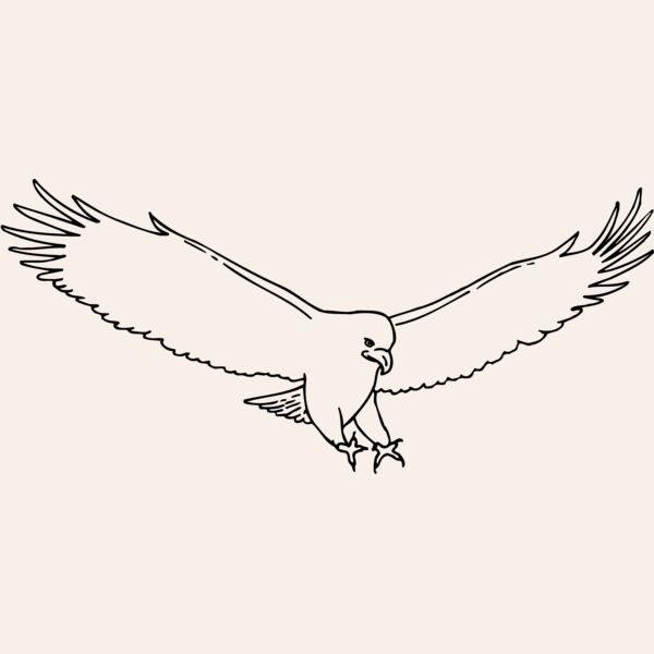 EAGLE46 Thumbnail