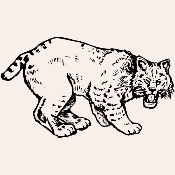 BOBCAT03 Thumbnail