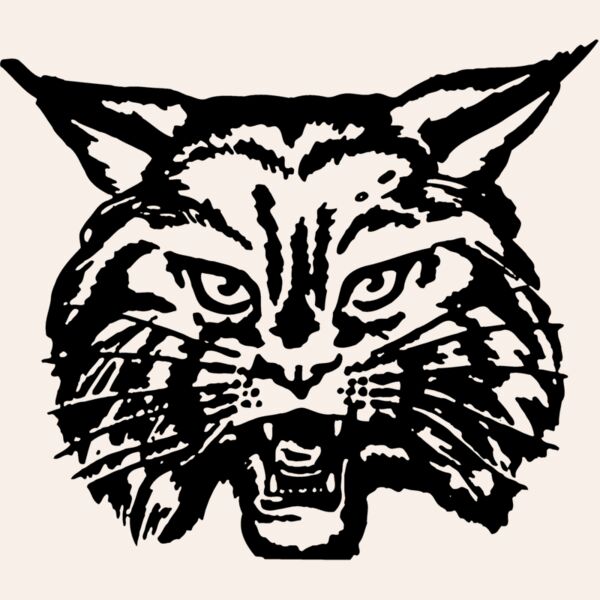 CAT03 Thumbnail
