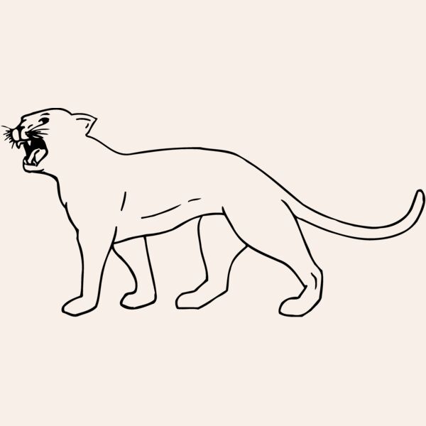 CAT05 Thumbnail