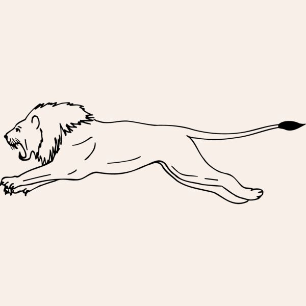 CAT12 Thumbnail