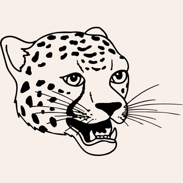 CAT14 Thumbnail