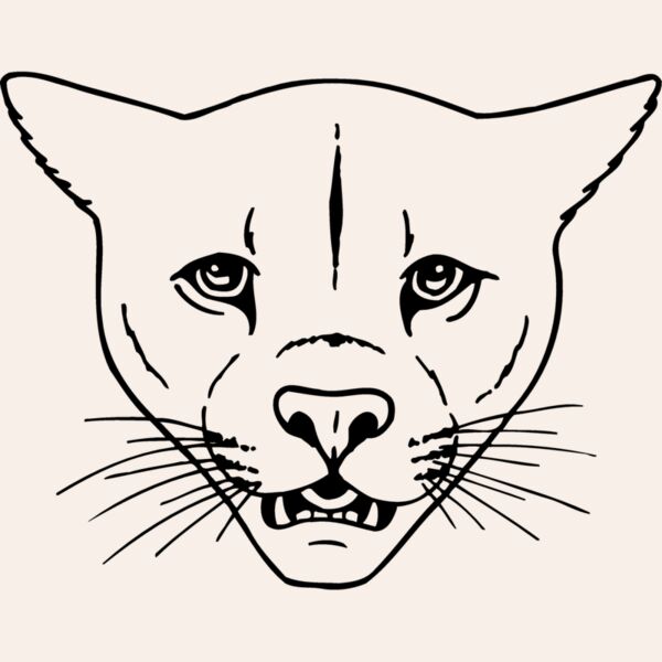 CAT16 Thumbnail