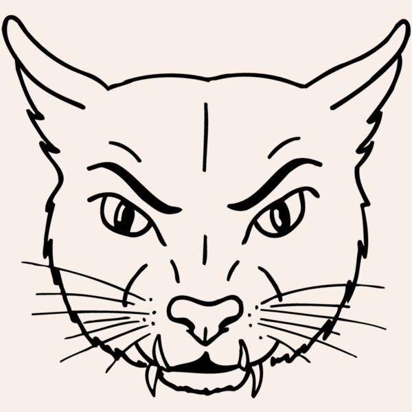 CAT19 Thumbnail
