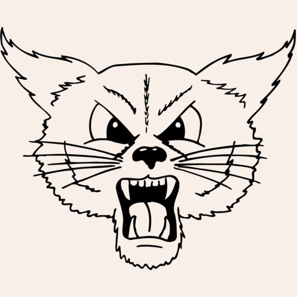 CAT20 Thumbnail