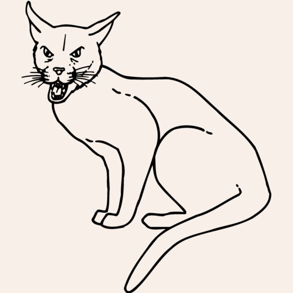 CAT21 Thumbnail