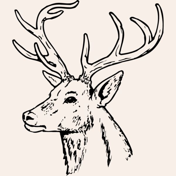 DEER022 Thumbnail
