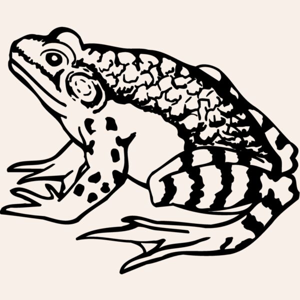 FROG03 Thumbnail