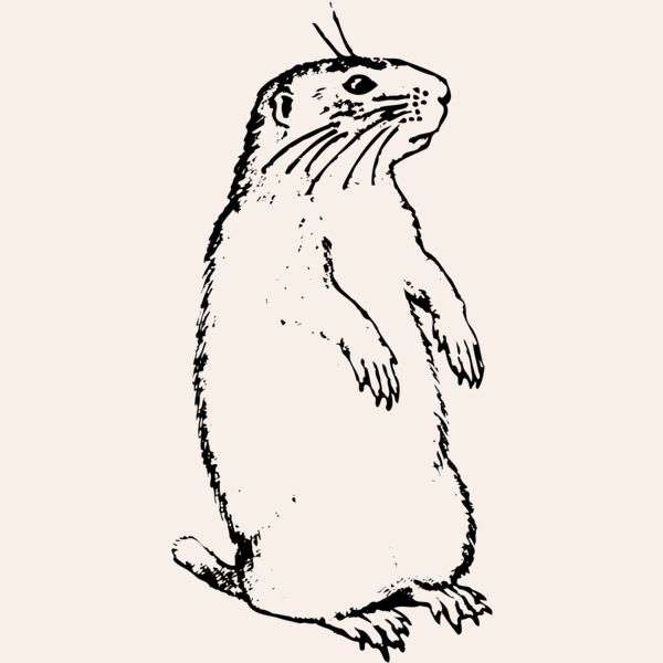 GOPHER01 Thumbnail