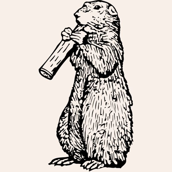 GOPHER02 Thumbnail