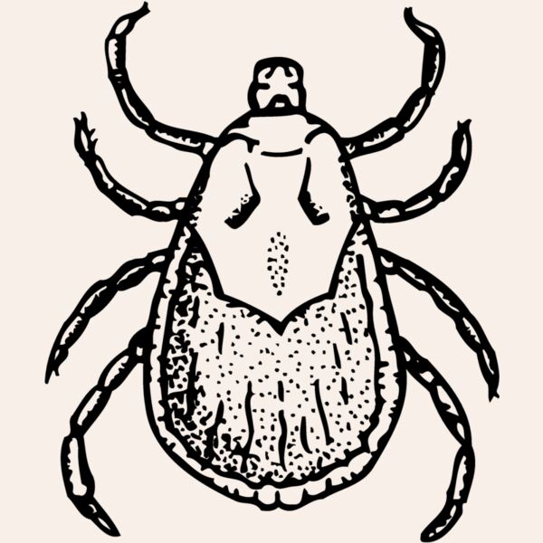 TICK Thumbnail