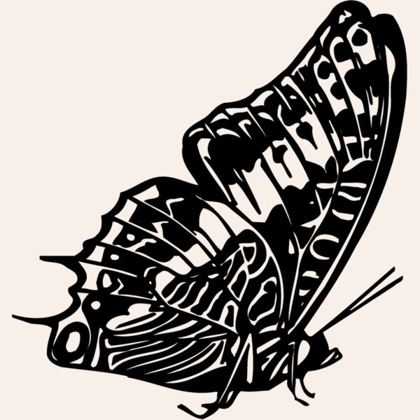 BTRFLY02 Thumbnail