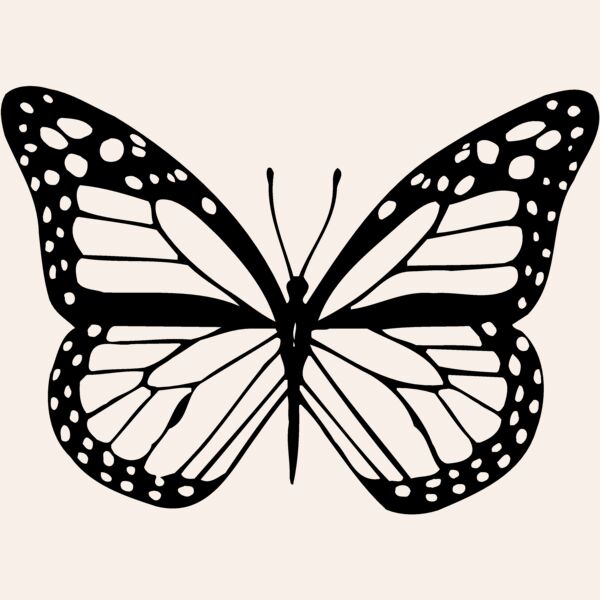 BTRFLY04 Thumbnail