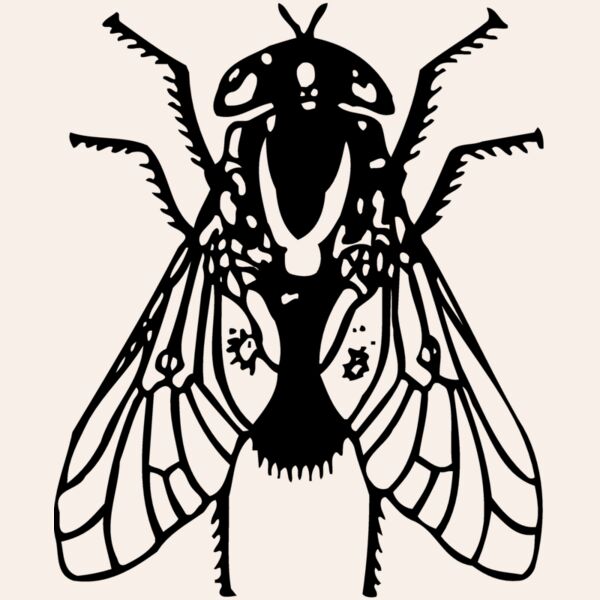 FLY02 Thumbnail