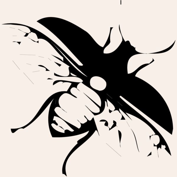 FLY03 Thumbnail
