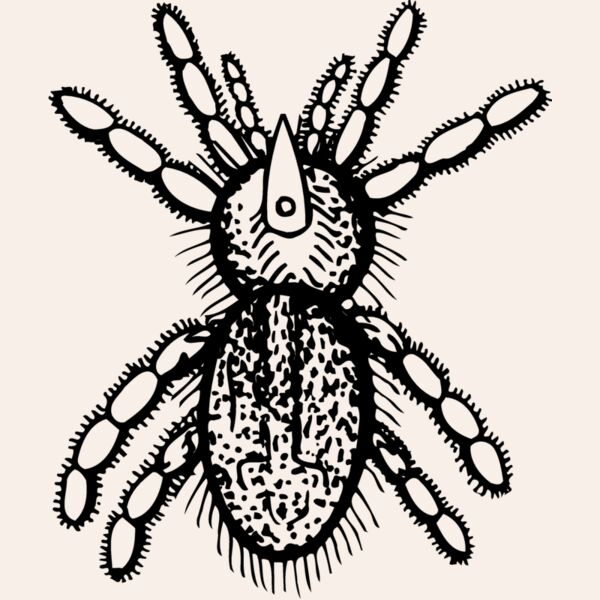 SPIDER05 Thumbnail