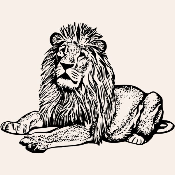 LION004 Thumbnail