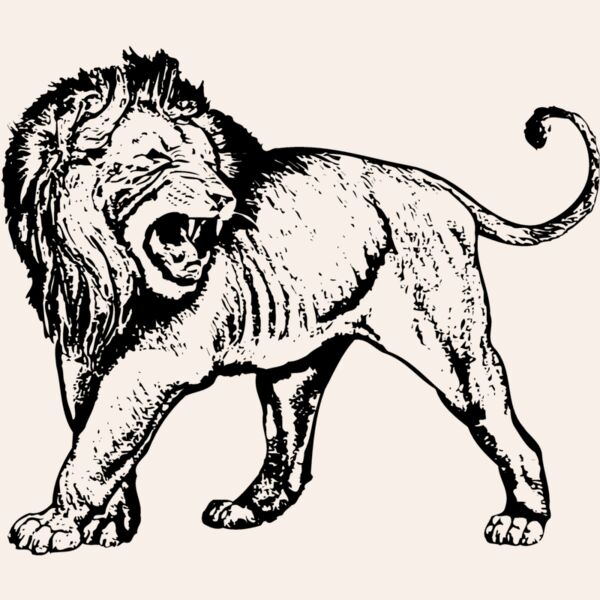 LION007 Thumbnail