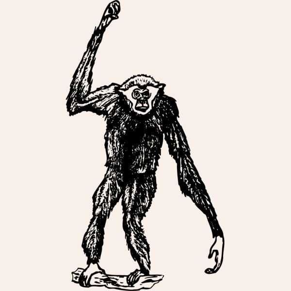 MONK003 Thumbnail