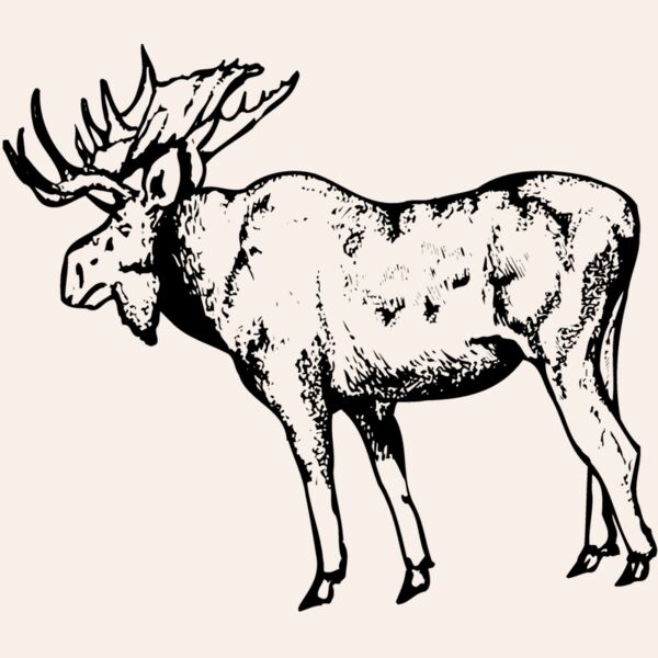 MOOSE002 Thumbnail