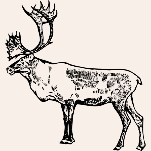 MOOSE003 Thumbnail