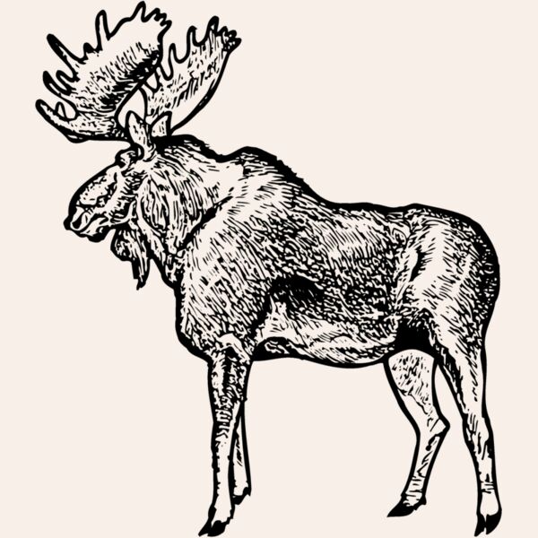 MOOSE004 Thumbnail