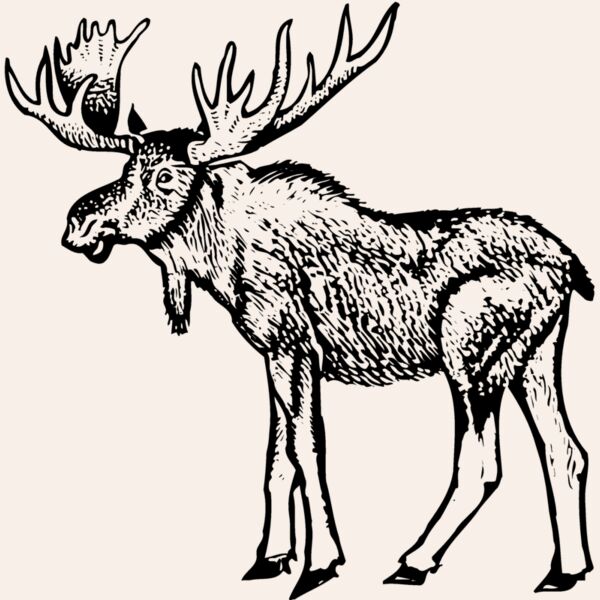 MOOSE005 Thumbnail